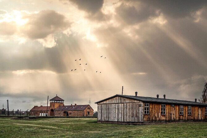 Auschwitz and Birkenau WITHOUT GUIDE private transport from Kraków - Key things to know before you go