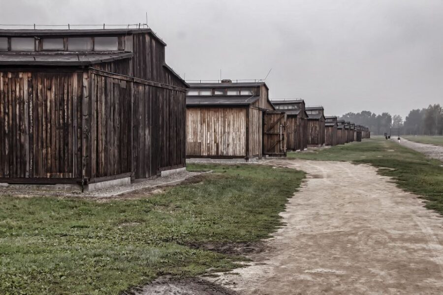 Auschwitz-Birkenau: Entrance Ticket and Live Tour Guide - Skip-the-line entry and how Auschwitz I gets explained