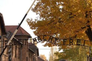 Auschwitz Birkenau Guaranteed Guided Tour or your money back - Entering Auschwitz I: What the main camp segment focuses on