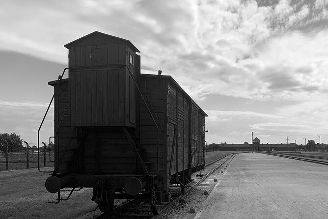 Auschwitz-Birkenau guided tour from Krakow - private car - Pickup Timing Tips: What to Watch for in Krakow