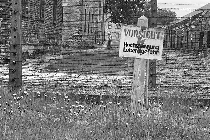 Auschwitz-Birkenau guided tour from Krakow - private car - Who This Tour Fits Best (and Who Might Want Another Option)