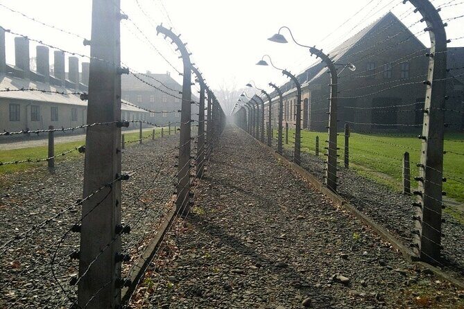 Auschwitz-Birkenau Guided Tour with Private Transport from Krakow - Timing, pacing, and how to handle a long, intense day