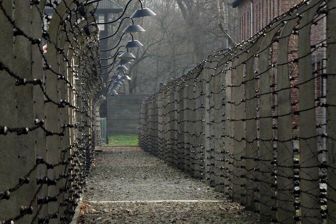 Auschwitz-Birkenau Guided Tour with Private Transport from Krakow - Pre-booked entry and meet-ups that keep you from wasting time