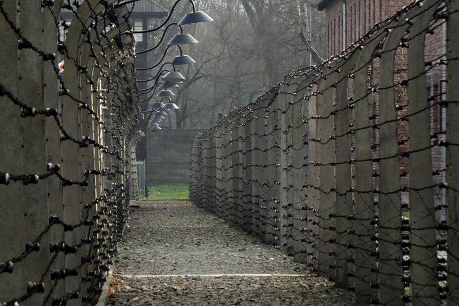 Auschwitz-Birkenau last minute guided Tour - Skip the line, then slow down inside the memorial