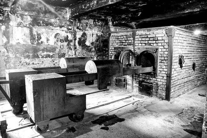 Auschwitz-Birkenau Memorial and Museum Guided Tour from Krakow - Timing and Entry: Why You Should Expect Some Waiting