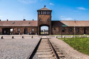 Auschwitz-Birkenau Memorial and Museum Trip from Krakow - Getting there: pickup, mini-bus comfort, and why timing matters