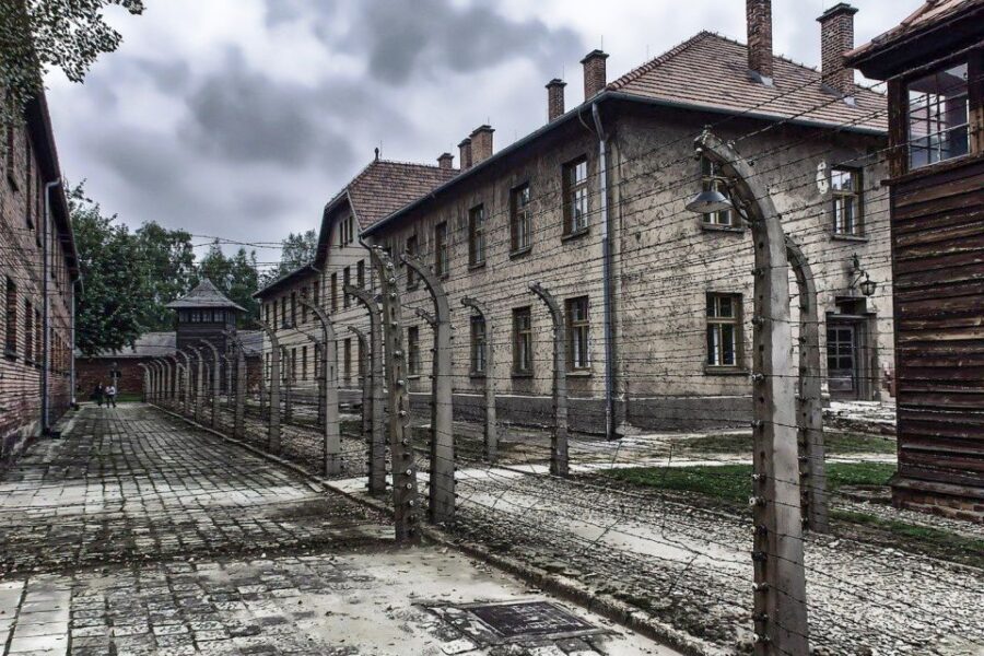 Auschwitz-Birkenau: Museum Entry Ticket with Guided Tour - The 30-minute free window: use it for bearings, not scrolling