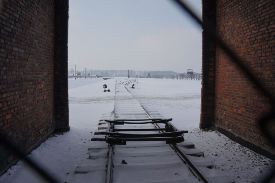Auschwitz-Birkenau: Museum Entry Ticket with Guided Tour - Timekeeping and group pace: why it can feel different day to day