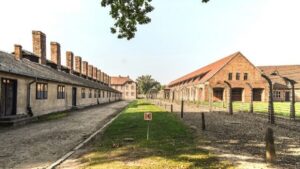Auschwitz-Birkenau Museum Tour from Krakow - Getting there and back: how the 7 hours keeps you on track