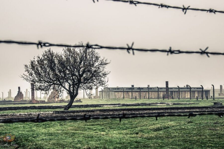 Auschwitz-Birkenau: Skip-the-Line Entry Ticket & Guided Tour - Why skip-the-line and a museum guide is the smart combo