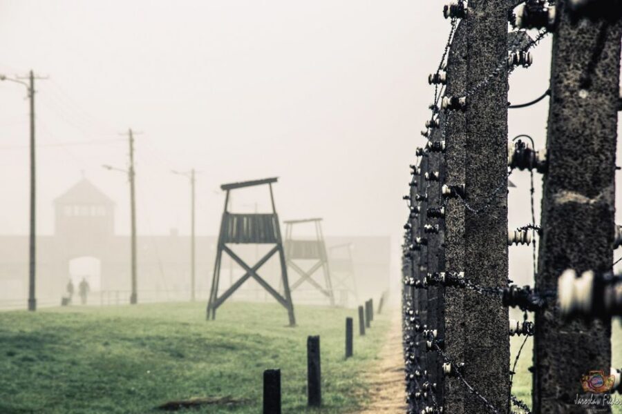 Auschwitz-Birkenau: Skip-the-Line Entry Ticket & Guided Tour - Who should book (and who might want a different format)
