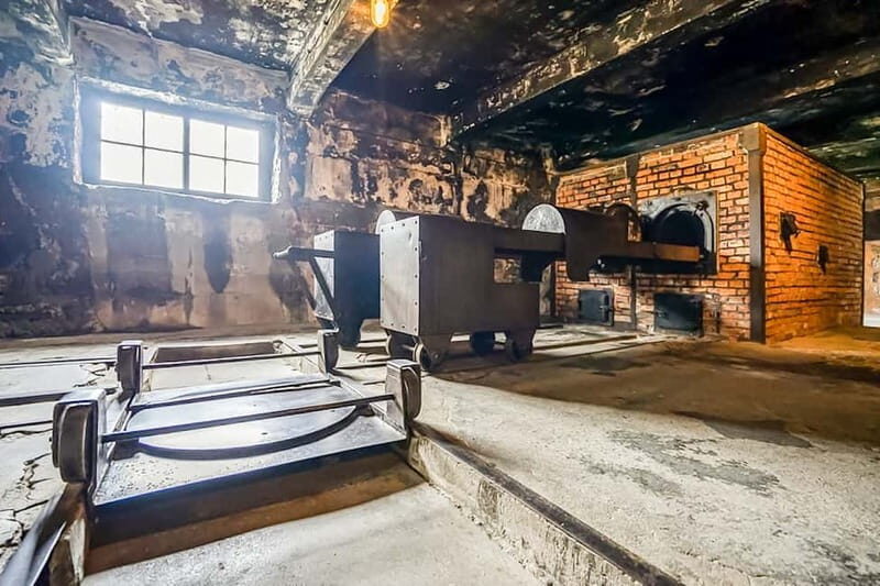 Auschwitz-Birkenau Skip-the-Line Guided Tour - Key highlights to clock before you book