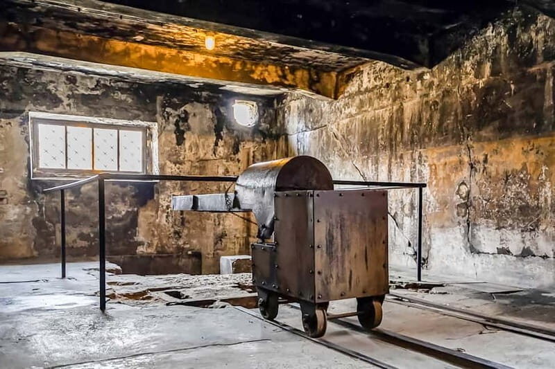 Auschwitz-Birkenau Skip-the-Line Guided Tour - Why this skip-the-line Auschwitz-Birkenau format saves your energy