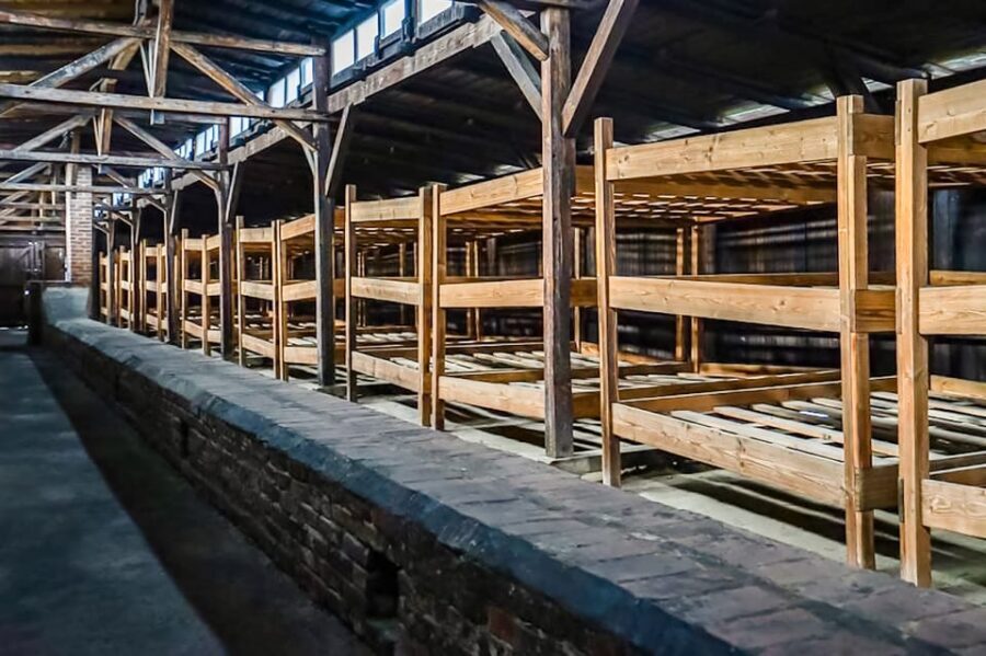 Auschwitz-Birkenau Skip-the-Line Guided Tour - The value of an official guide (and why headsets matter)