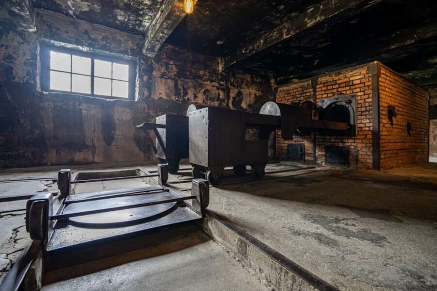 Auschwitz-Birkenau Skip-the-Line Ticket and Guided Tour - Birkenau: the emotional weight, the walking, and the weather reality