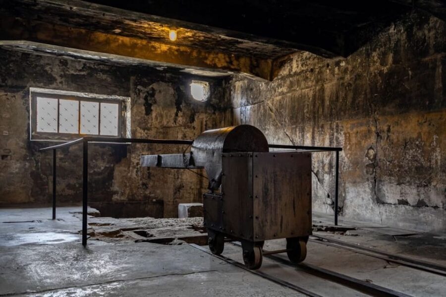Auschwitz-Birkenau Skip-the-Line Ticket and Guided Tour - Group size, pace, and the day-before time change
