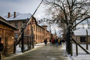 Auschwitz Birkenau Tour from Krakow: Private Transfer + Ticket - Heading to Oświęcim: What the Ride Can Feel Like