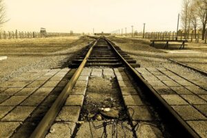 Auschwitz-Birkenau Tour from Krakow with Hotel Pickup - The bus ride and group size: small enough to feel human