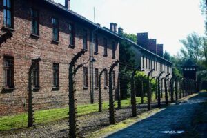 Auschwitz-Birkenau Tour: Tickets + Transportation from Krakow - Price and what you actually get for $22.99