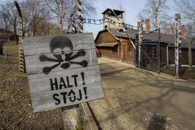 Auschwitz Birkenau Tour with Pickup and Lunch - Krakow Pickup and Minivan Ride: Comfort, Timing, and Group Size