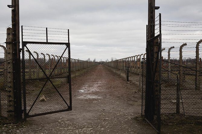 Auschwitz-Birkenau & Wieliczka in one day (Guided tour) - Between Auschwitz and Wieliczka: How to Survive the Gap Day Without Losing Your Mind