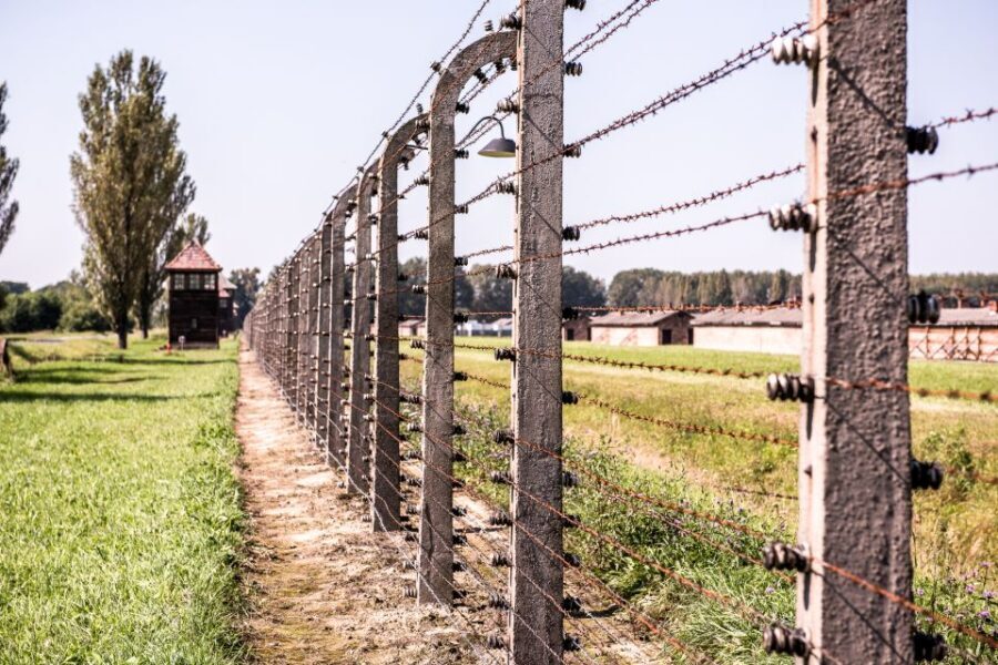 Auschwitz Ticket and Full-Day Tour from Krakow - Should you book this Auschwitz ticket and full-day tour from Kraków?