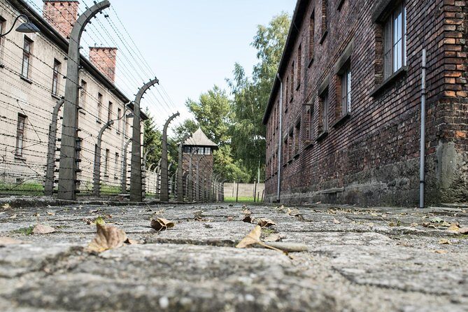 Combined: Auschwitz Birkenau and Salt Mine private chauffeur from Krakow - Auschwitz and Wieliczka in one day: the real payoff