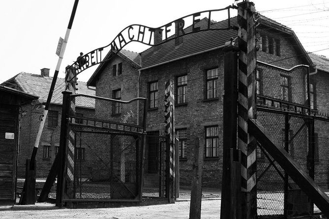 Day Trip: Auschwitz-Birkenau and Wieliczka Salt Mine from Krakow - Group size, pace, and comfort on a 10–12 hour day