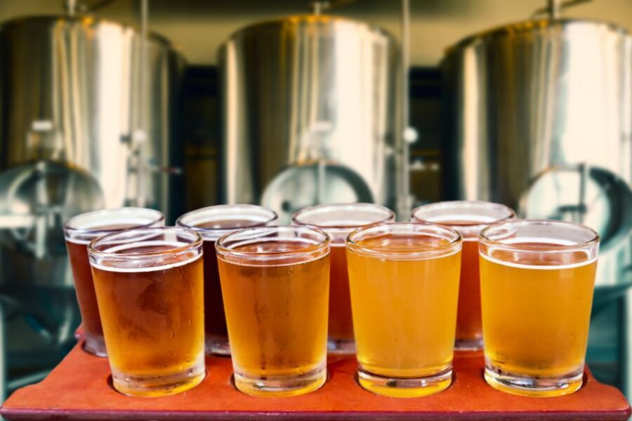 EVERYDAY Krakow Beer Tasting Tour - Meeting at Podwale 6 Street: Start Where the Locals Start