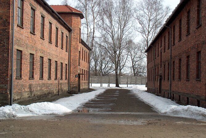 Exclusive Small Group Auschwitz-Birkenau Guided Tour from Krakow - Skip-the-line tickets and headsets: the “hear the guide” advantage