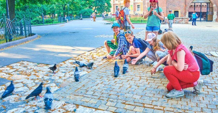 Family Tour of Krakow Old Town with Sweets Factory & Cruise - Start at the Barbakan: the Royal Route built for families
