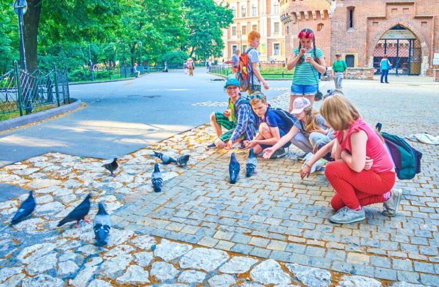 Family Tour of Krakow Old Town with Sweets Factory & Cruise - Cloth Hall, Town Hall Tower, and St. Mary’s trumpet hour