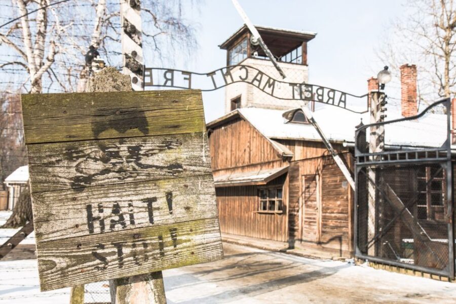 From Krakow: Auschwitz and Wieliczka Salt Mine Full-Day Trip - Who should book this Auschwitz and Wieliczka day trip