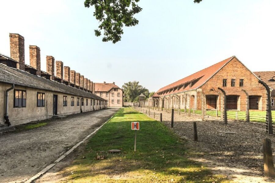 From Krakow: Auschwitz Birkenau and Salt Mine Guided Tour - Key things I’d pay attention to
