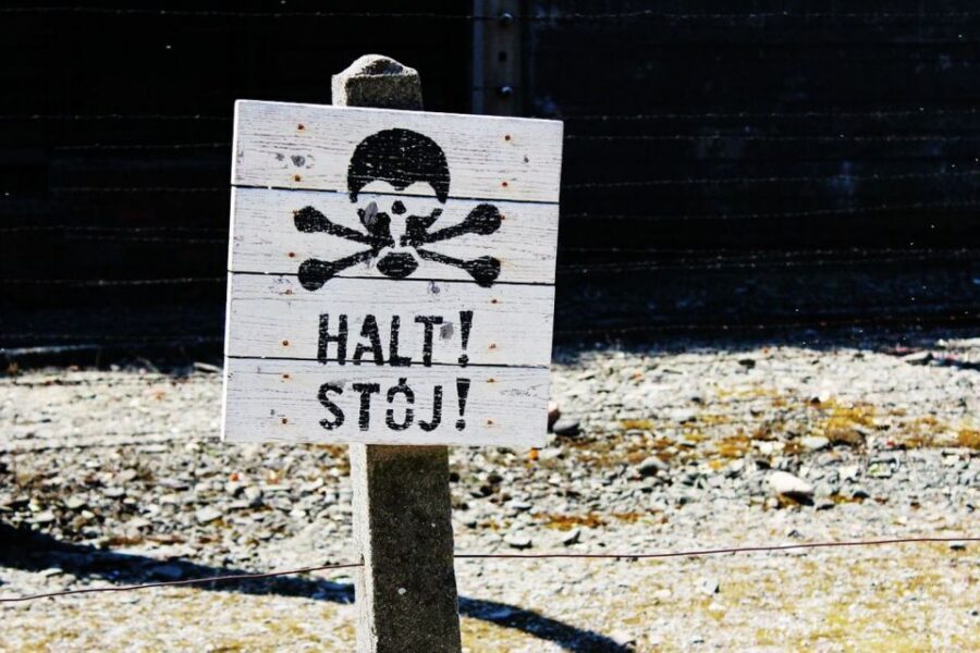 From Krakow: Auschwitz Birkenau and Salt Mine Guided Tour - Timing, coach transfers, and where food fits into the day