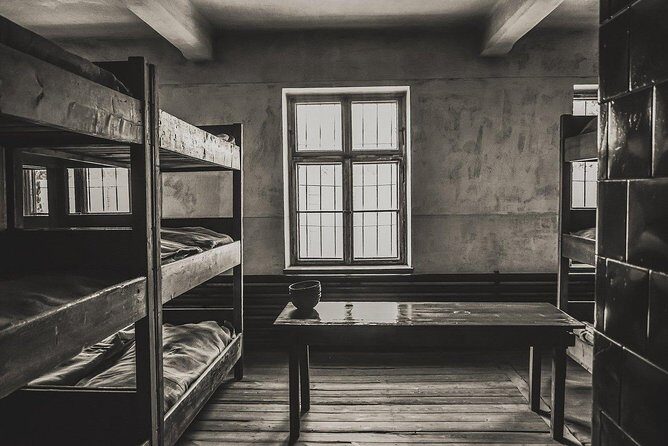 From Krakow: Auschwitz-Birkenau and Salt Mine with Private Transfer - Private transfers from Krakow: what convenience really buys you
