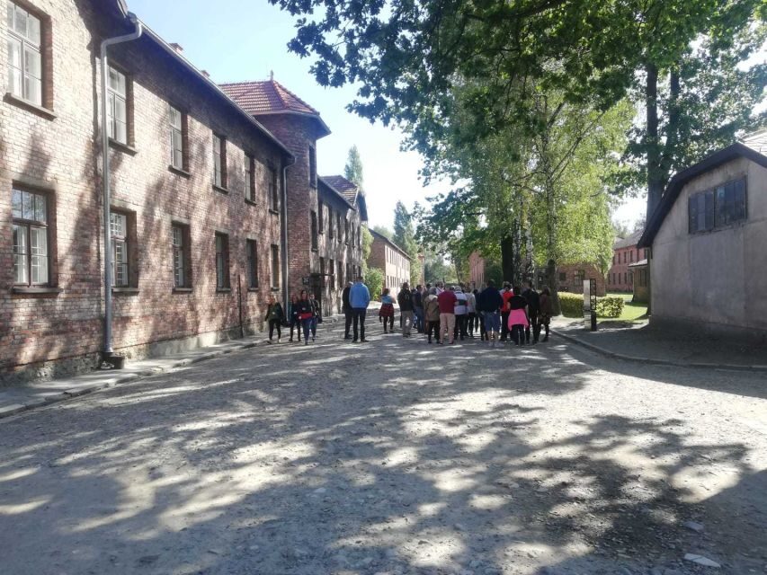 From Krakow: Auschwitz-Birkenau and Self-Guided Day Tour - Using the English brochure and getting help at the right moments