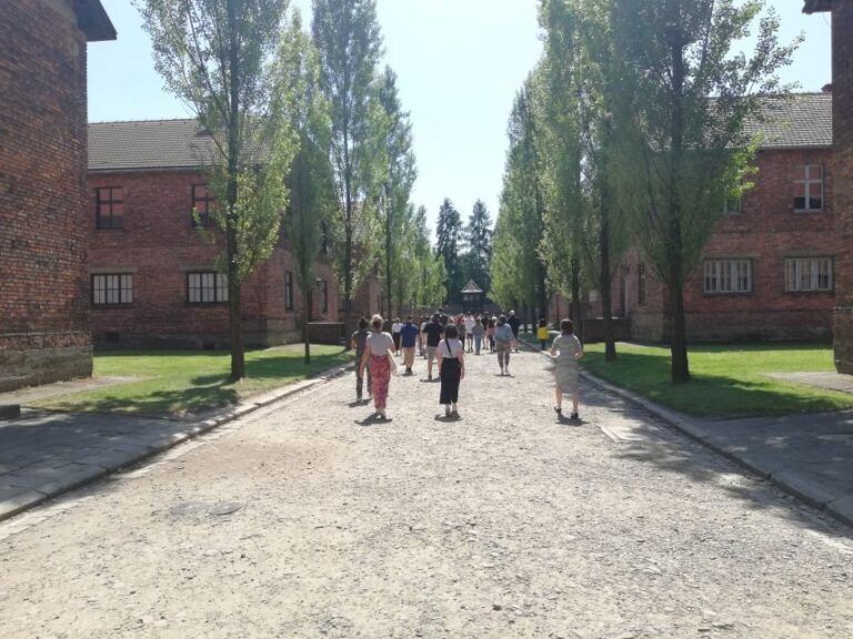 From Krakow: Auschwitz-Birkenau and Self-Guided Day Tour - Auschwitz II-Birkenau: short time (40 minutes) that still lands
