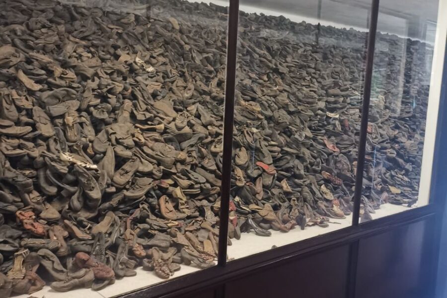 From Krakow: Auschwitz-Birkenau Camp Complex Guided Day Trip - Key things to know before you go