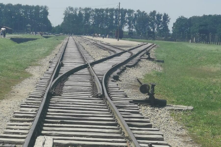 From Krakow: Auschwitz-Birkenau Camp Complex Guided Day Trip - What’s included on the ground (and what isn’t)