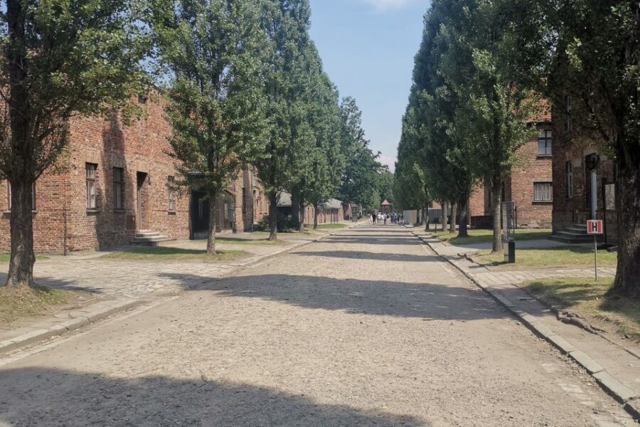From Krakow: Auschwitz-Birkenau Camp Complex Guided Day Trip - Birkenau: gas chambers, crematoria, and the memorial spaces