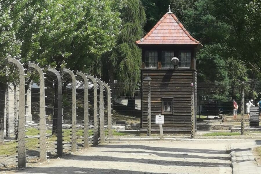 From Krakow: Auschwitz-Birkenau Camp Complex Guided Day Trip - How Monowitz fits in: survival wasn’t the same everywhere