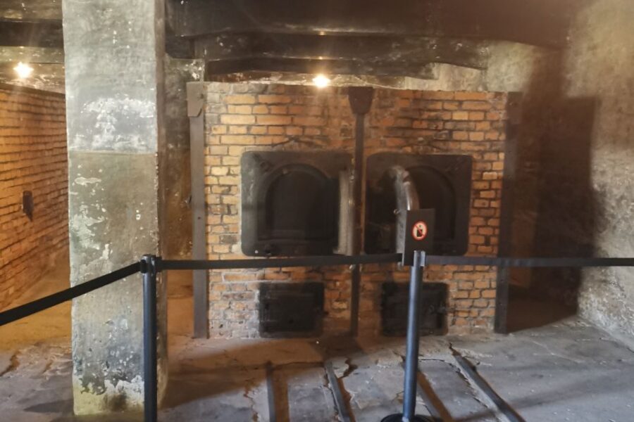 From Krakow: Auschwitz-Birkenau Camp Complex Guided Day Trip - The pace and timing: what 7 hours feels like in real life