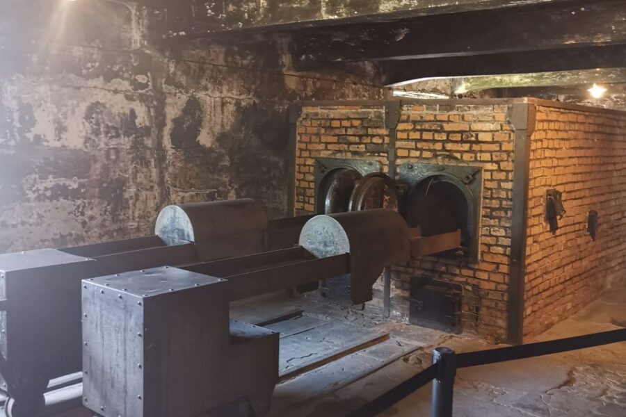 From Krakow: Auschwitz-Birkenau Camp Complex Guided Day Trip - Price and value: what you’re paying for at $83