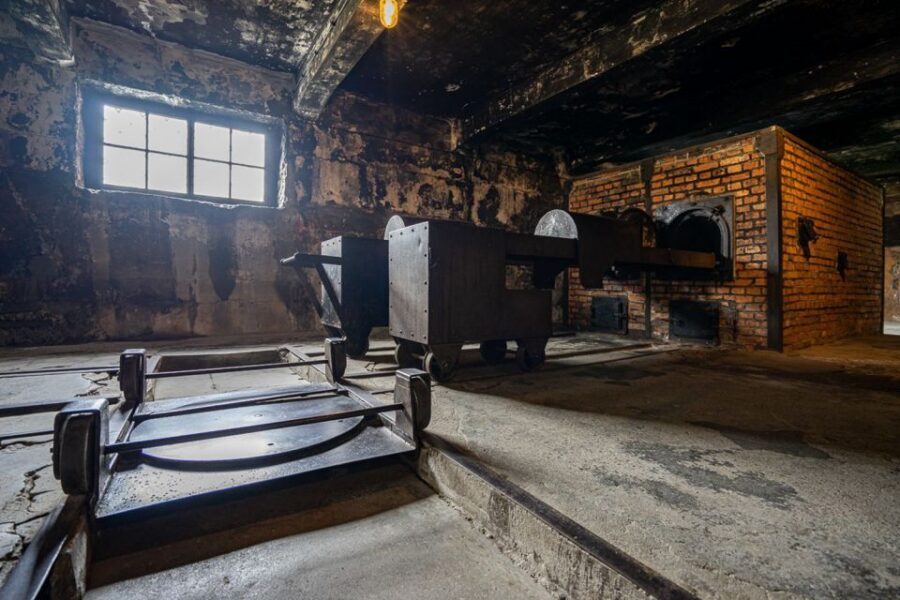 From Krakow: Auschwitz-Birkenau Full-Day Guided Tour - Price and Value: What $89 Buys You in Real Terms