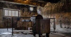 From Krakow: Auschwitz-Birkenau Full-Day Tour - Getting there in comfort: pickup timing and why it affects the whole day