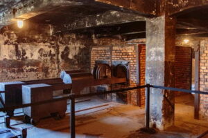From Krakow: Auschwitz-Birkenau Guided Full-Day Tour - Auschwitz I: what you’re seeing (and why the details are the point)