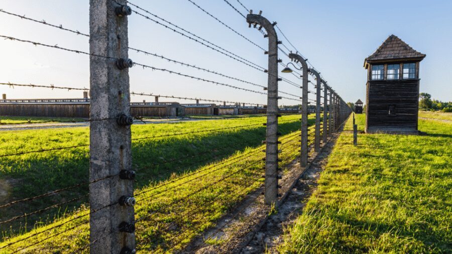 From Krakow: Auschwitz-Birkenau Guided Tour Guaranteed Time - Key highlights worth planning for