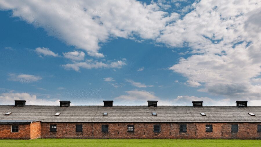 From Krakow: Auschwitz-Birkenau Guided Tour Guaranteed Time - Price and value: why $53 can be a fair deal here