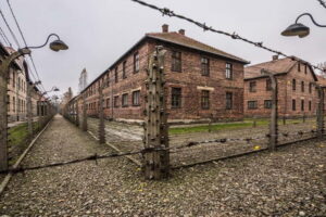 From Krakow: Auschwitz-Birkenau Guided Tour & Hotel Pickup - Hotel pickup and air-conditioned transport (and why that matters)